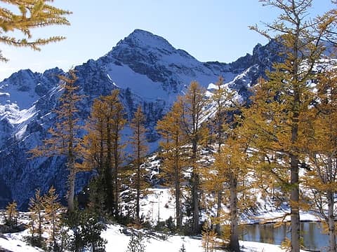 Ice Box and Larches