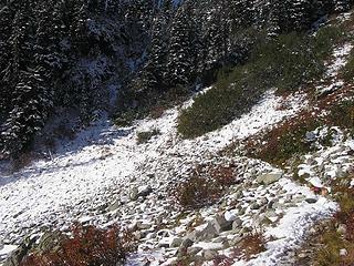 Initial snow along trail