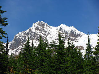 Black Buttes over evergreens
