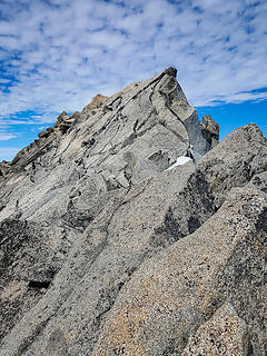 Mount Stuart summit block
