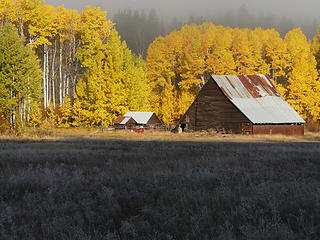 Barn and aspen along Highway 2 under a morning mist.  The color of the aspens progressed very rapidly is just two days <a href="http://www.flickr.com/photos/8666051@N04/2942638757/