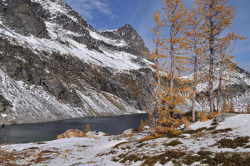 More larches at Upper Ice Lake