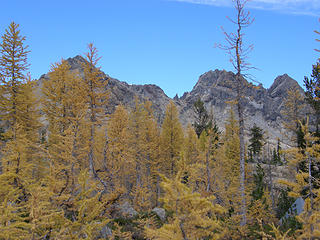 Larch views from lake ingalls trail.