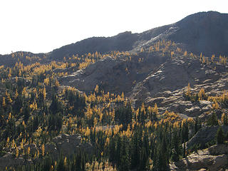 Larches and rock slabs on way back from lake.