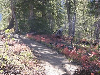 Fall colors on trail not far from parking lot.