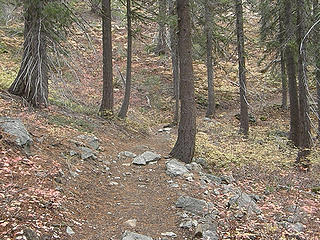 Lower ingalls lake trail.