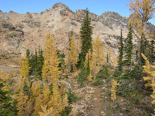 Larch views from lake ingalls trail.