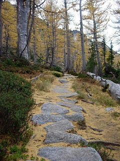 yellow trail