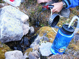 Just enough water in the stream for filtering
