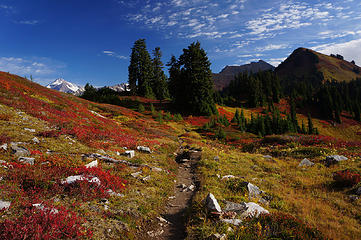 Approaching Kodak Peak on the PCT with great views of Glacier Peak and gorgeous blueberry colors