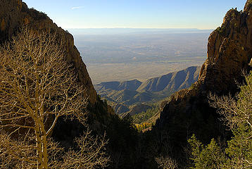 view-from-la-luz-trail