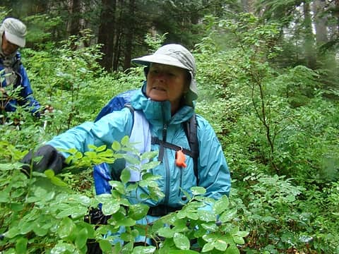 Again, at about elev 3,000 ft we encountered lush patches of blueberries. Jan enjoying berries on the go.