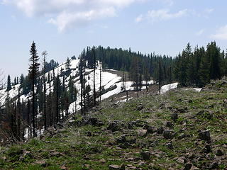 South toward the Butte