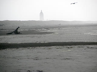 foggy-lighthouse