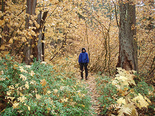 Todd on the trail with Fall colors in the background...