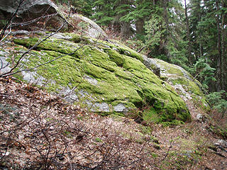 Nice mossy rock along the trail.