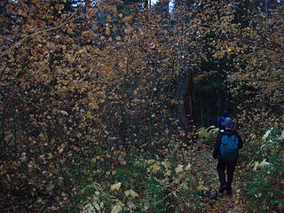 Headed back down the trail surrounded by fall leaves.