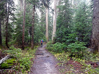A wet and muddy Pete Lake Trail after the rains.