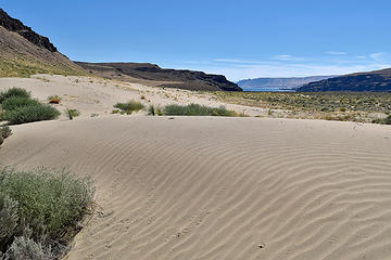 Sand dune at Frenchman Coulee