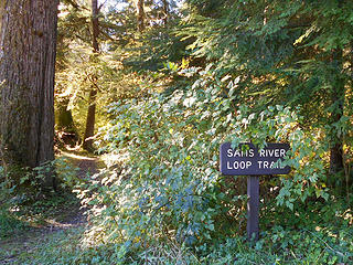 Sams River Loop Trail 01