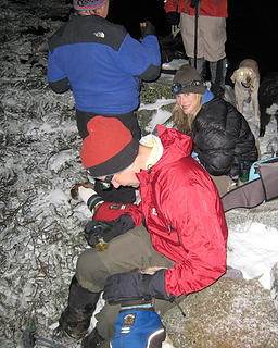 Huddled for warmth at the top