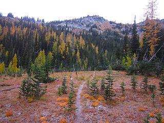Meadow trail