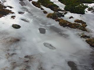 Lunatique Footprints in frozen runoff