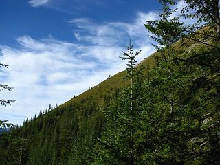 A ridge on Granite Mountain