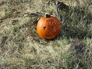 Someone carved a pumpkin near the jct. with the trail leading to Ancient Lake.