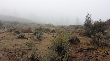 Fog, mist, & wind for the upper part of the trail