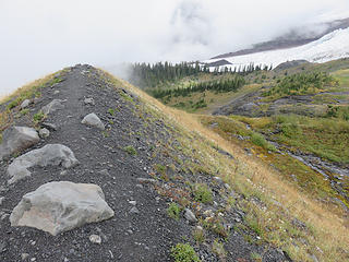 Looking the other direction  at the top of  the Hogback, looking NE toward lower Coleman Glacier and Survey Rock.