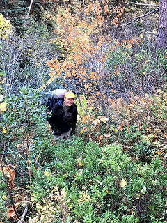 Steve in pushing trail brush