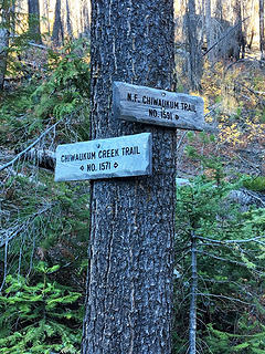 The north fork trail goes to Chiwaukum and Larch Lakes while 1571 goes to Ladies pass