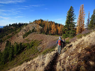 Approaching junction of Teanaway Ridge and County Line Trails.