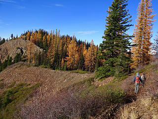 Junction of Teanaway Ridge and County Line Trails.