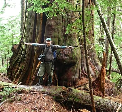 Giant western redcedar_hiker with outstretched arms for scale
