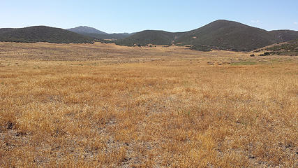Dry meadow