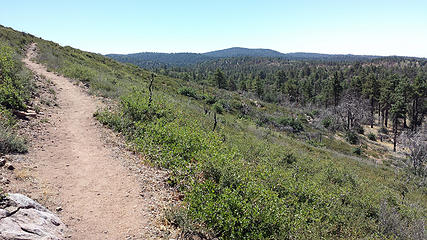 Continuing south on the PCT below Monument Pk.