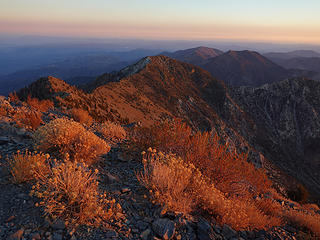 view south from Telescope Peak