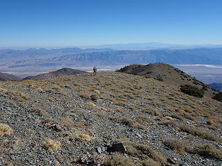 descending east ridge of Rogers Peak