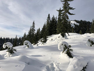 Snow sculptures on the trail to Mt. McCausland 11/12/18
