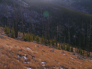 Open meadows on Sherman Peak;s NW side