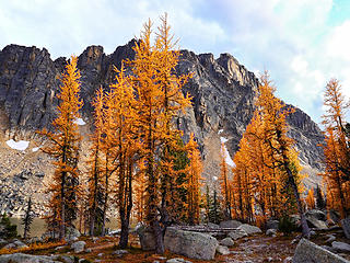 Larch, Upper Cathedral Lake