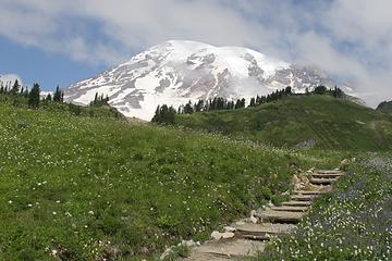 Mt Rainier - Edith Creek Trail