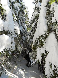 Snow bomb tunnel, Mt. Pugh trail 12/16/16