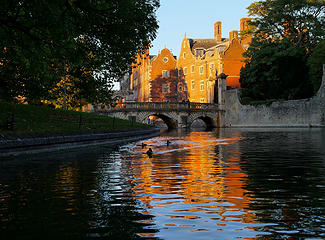 Cambridge4
