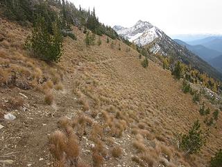 Pomas Mtn trail
