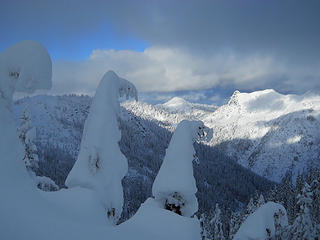 Snow dwarfs near Stevens Pass