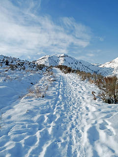 Initial trail, I carried my snowshoes here.