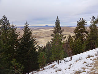 Views north to Steptoe Butte.